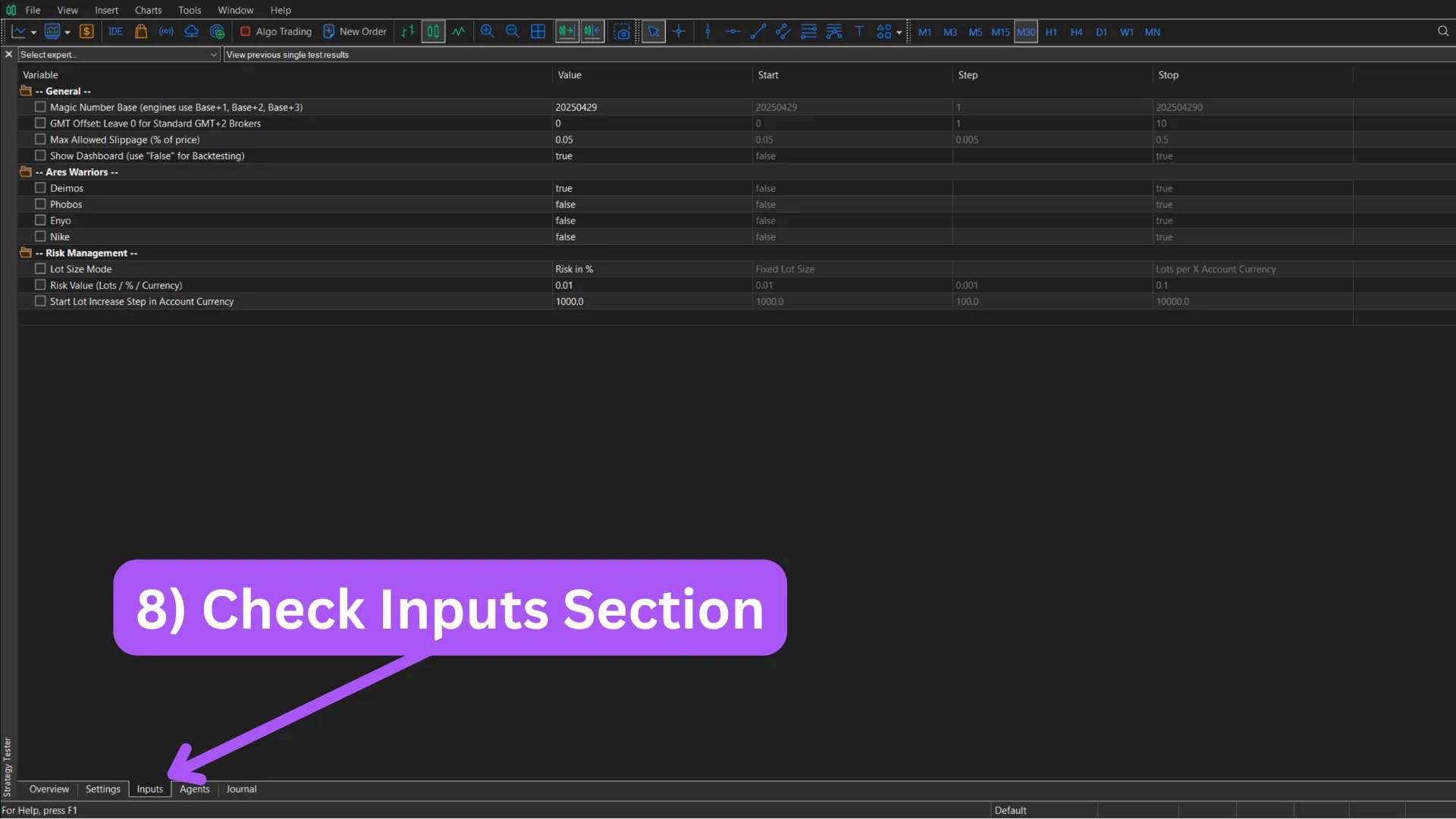 Load the EA inputs